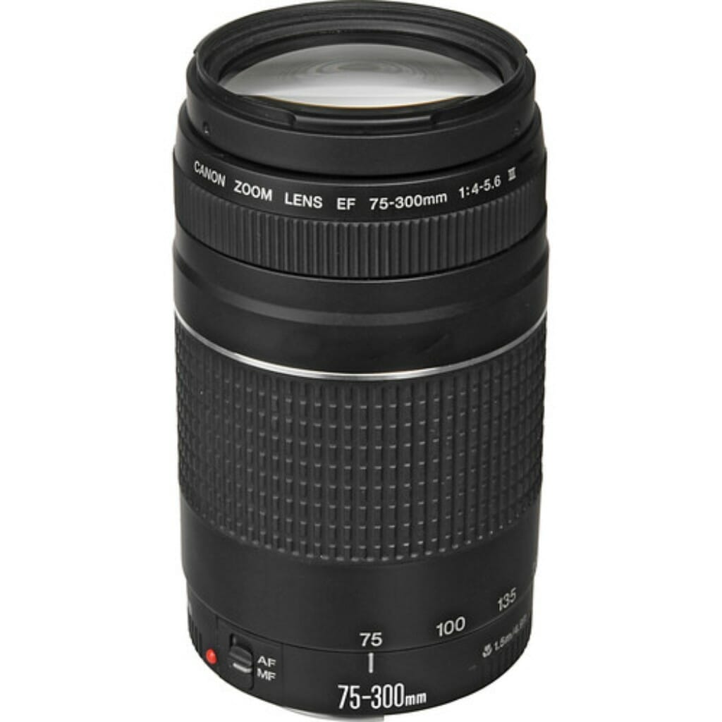 Canon EF 75-300mm f/4-5.6 III Lens - Image 4