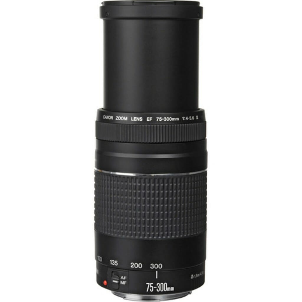 Canon EF 75-300mm f/4-5.6 III Lens - Image 3