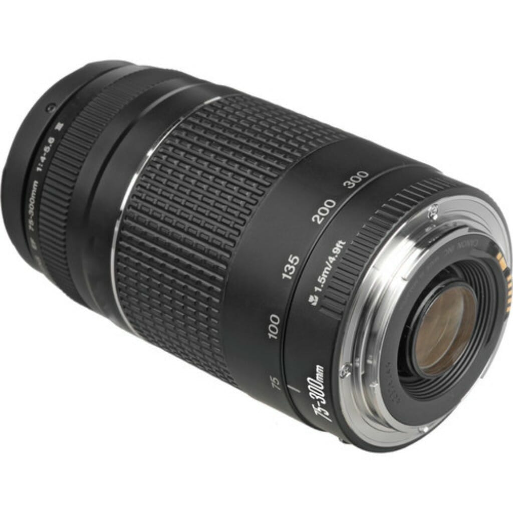 Canon EF 75-300mm f/4-5.6 III Lens - Image 2